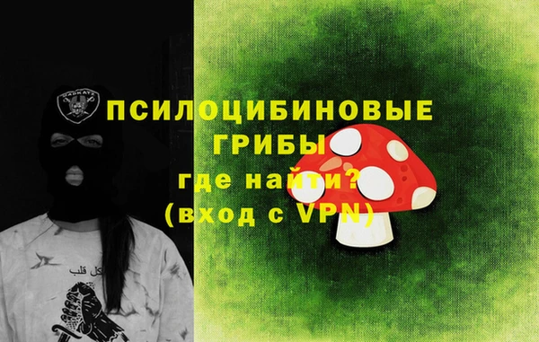 стафф Корсаков