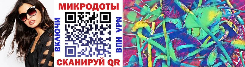 Купить Котельниково Псилоцибиновые грибы мицелий